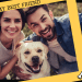 Are Dogs Really Man’s Best Friends? Debunking the Age-Old Notion