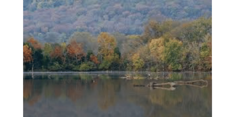 Discover the Charms of Sumner County, Tennessee: 10 Best Places to Live