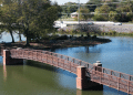 Did You Know- About Hendersonville TN