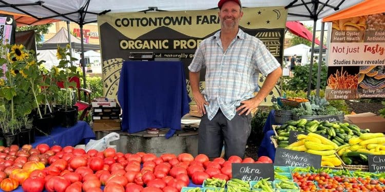 How to Support Local Businesses During the Holidays in Sumner County