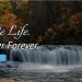 Hendersonville Memory Gardens, Funeral Home, & Cremation Center: A Trusted Haven of Comfort and Care for Sumner County