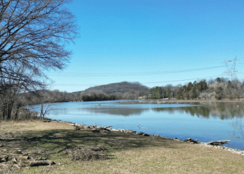 Dad, Son, and the Myth of the Five-Pound Bass
