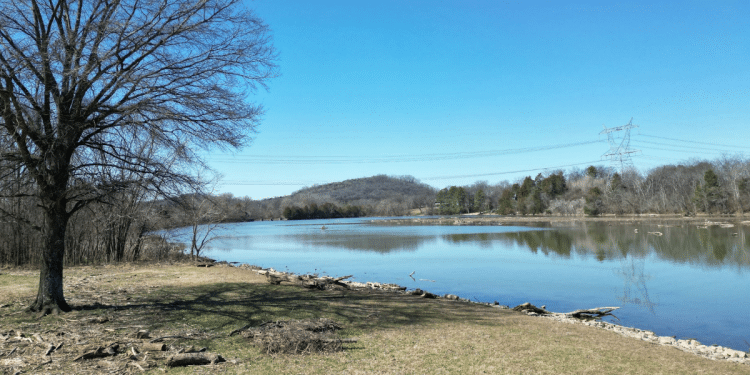 Dad, Son, and the Myth of the Five-Pound Bass