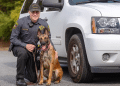 She’s More Than Man’s Best Friend. Meet Hendersonville’s High Tech K9 Stella