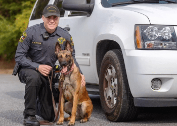 She’s More Than Man’s Best Friend. Meet Hendersonville’s High Tech K9 Stella