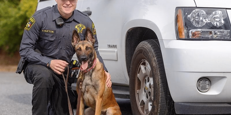 She’s More Than Man’s Best Friend. Meet Hendersonville’s High Tech K9 Stella