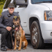 She’s More Than Man’s Best Friend. Meet Hendersonville’s High Tech K9 Stella